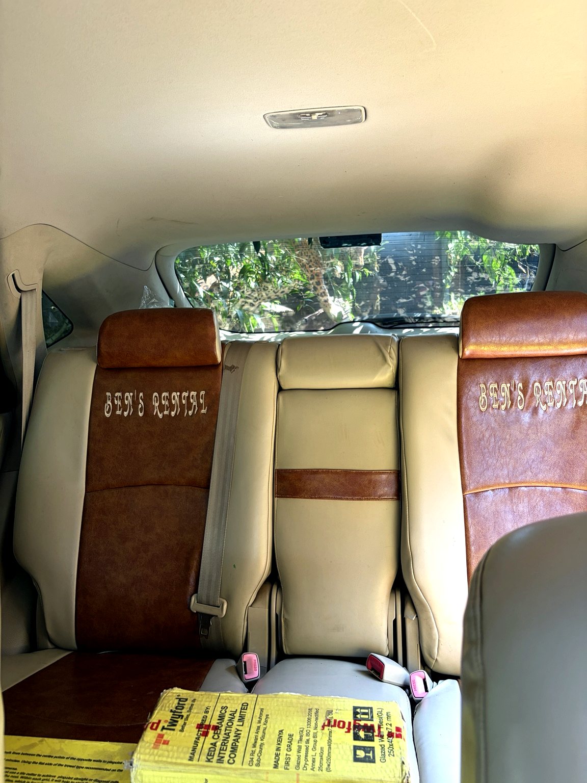 Executive SUV rear seats