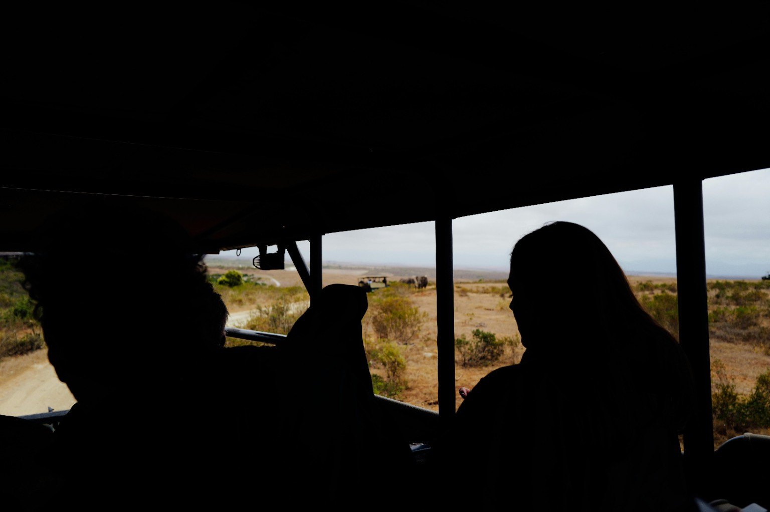 7-Day Uganda Gorillas, Chimps & Wildlife Safari